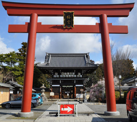 �����炩�炨���艺����